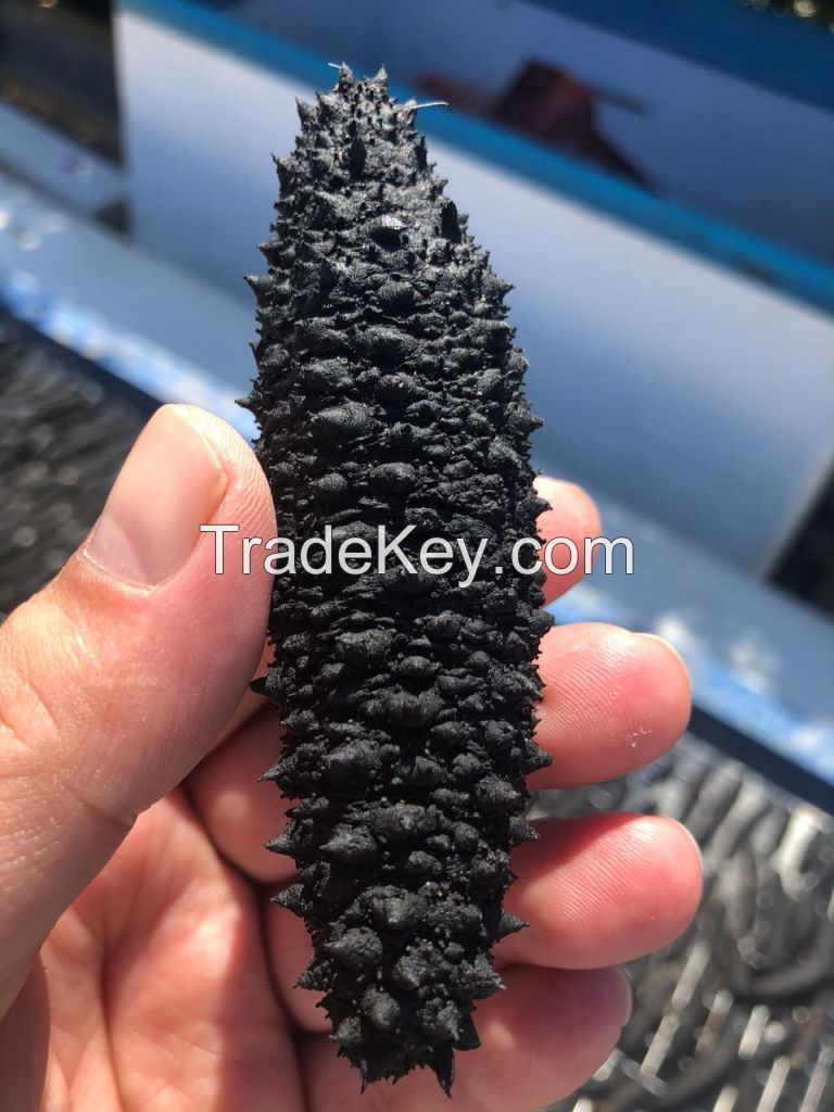 dried sea cucumber