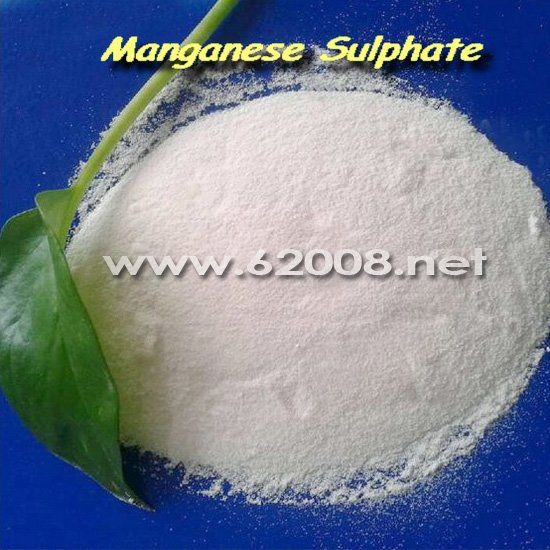 Manganese Sulphate Monohydrate 