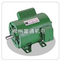 Single phase AC electric motor