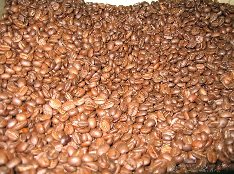 Arabica coffee beans for sale