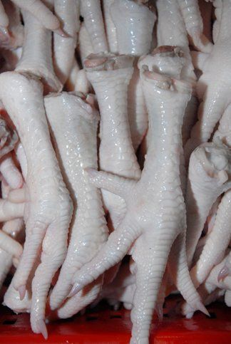 Process and unprocess frozen chicken  for sale