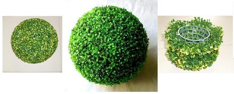 boxwood ball home garden decoration