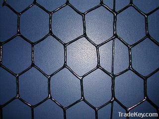 Hexagonal netting