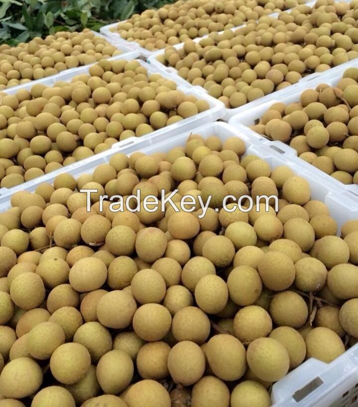 TROPICAL FRESH LONGAN FRUIT