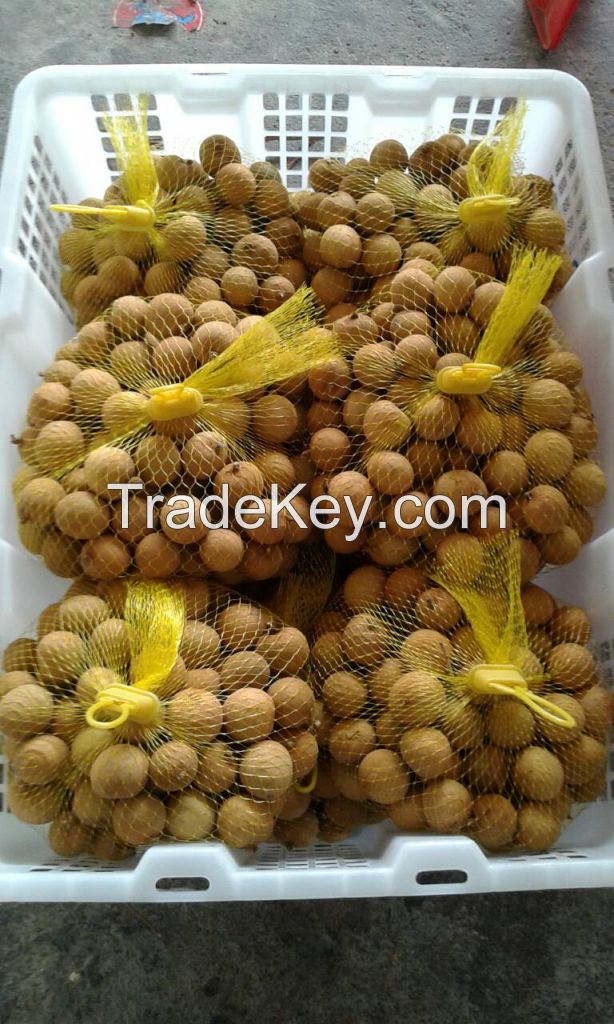 Longan