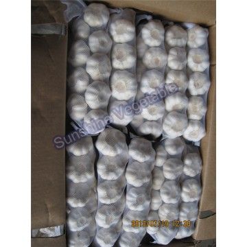 Jinxiang Normal White Garlic