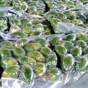 Fresh and frozen betel nut