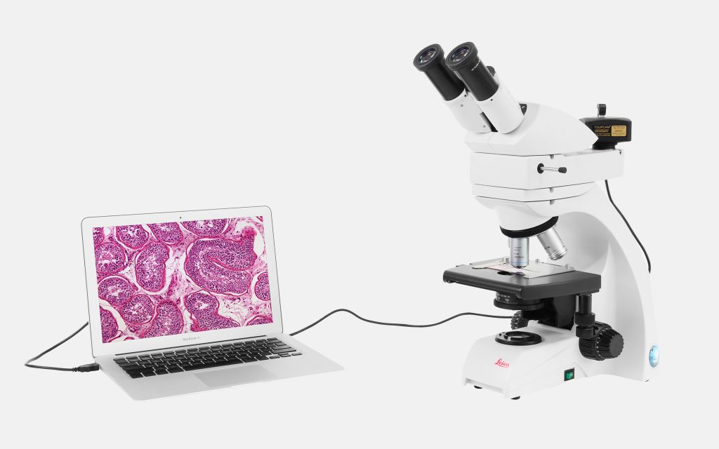 Te-Cooling 5.2MP Fluorescence Microscope Cameras 