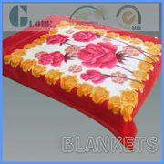 1 ply korean style raschel mink blanket 