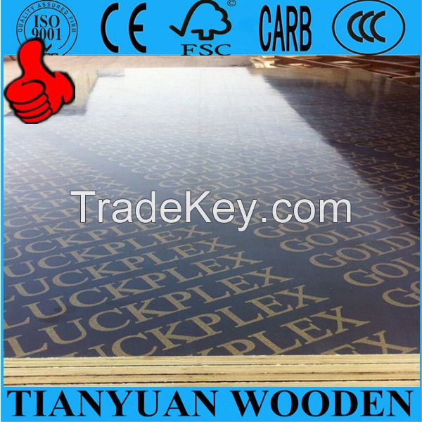 Qingdao Goldluck film faced plywood, constrution plywood