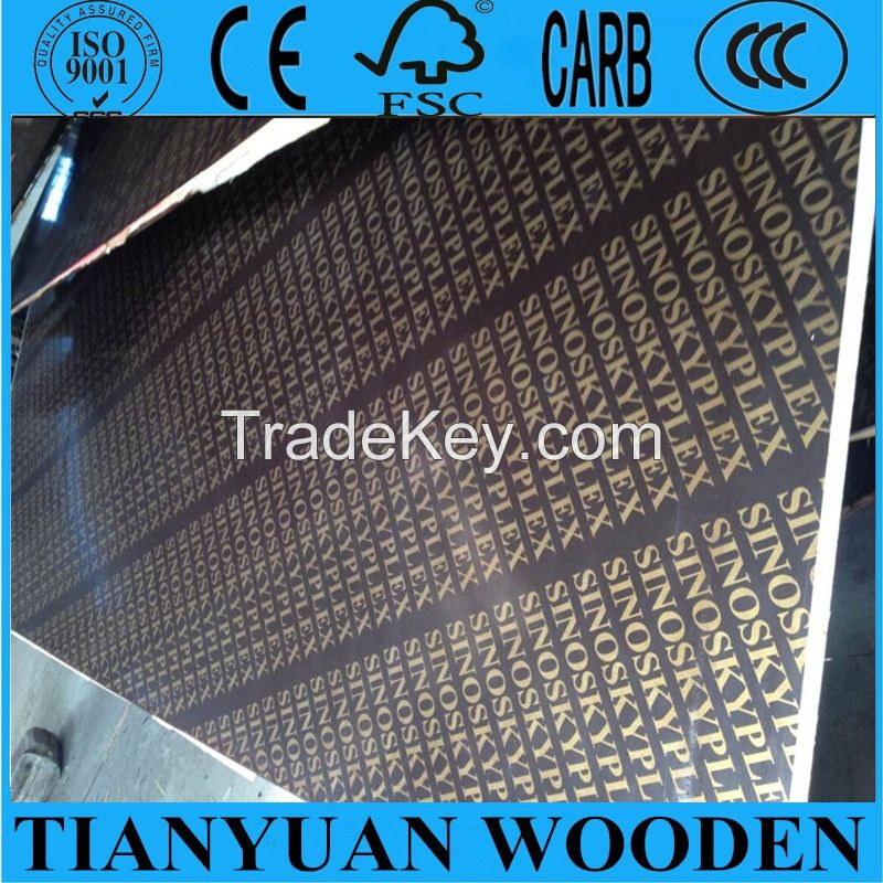 Qingdao Goldluck film faced plywood, constrution plywood