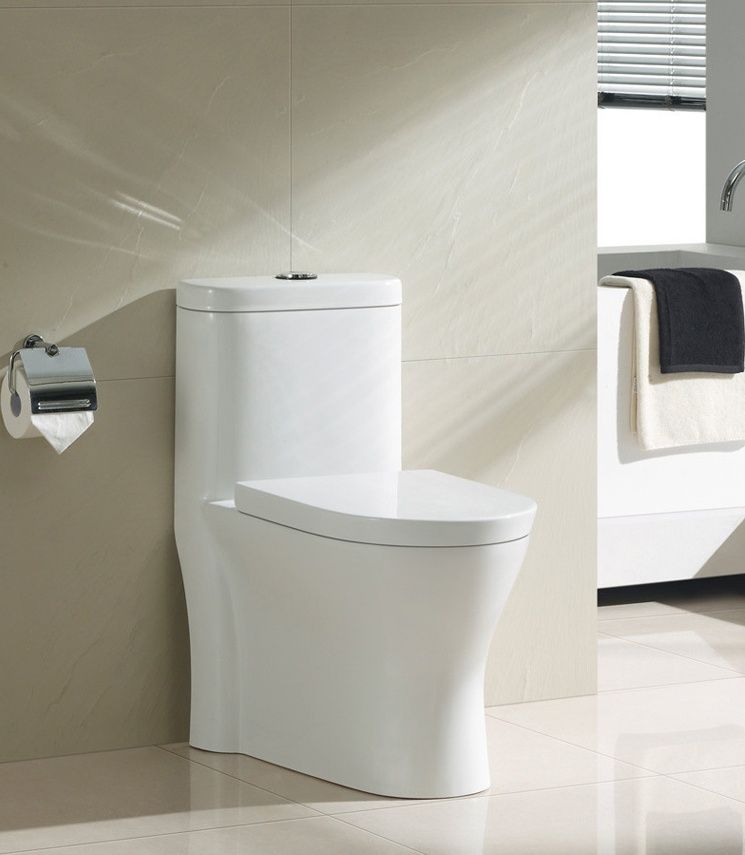 Sighonic ceramic toilet with water box and toilet cover