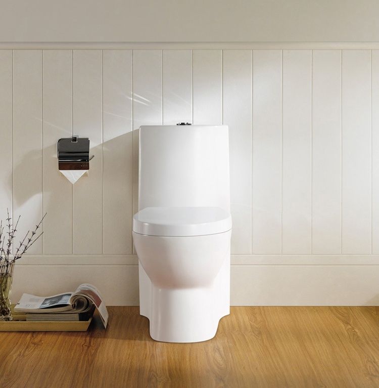 Sighonic ceramic toilet with water box and toilet cover