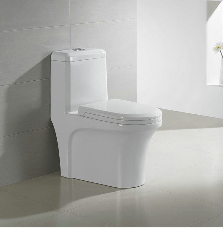 Sighonic ceramic toilet with water box and toilet cover