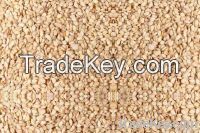 Oil Seeds, Forage Seeds, Oil Seeds, Castor Seeds, ÃÂ cotton seed Flax Seeds, MarigoldÃÂ seeds, GinsengÃÂ seeds, SteviaÃÂ seeds, StrawberryÃÂ seeds , Zinnia&Atil