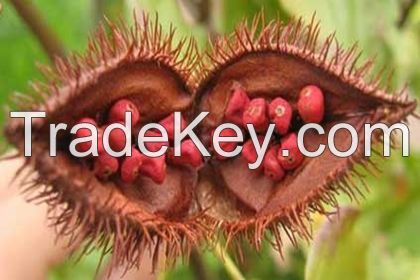 ANNATTO SEEDS