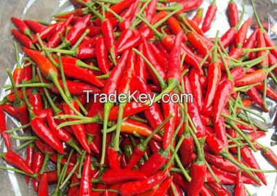 Fresh Small Red chilli