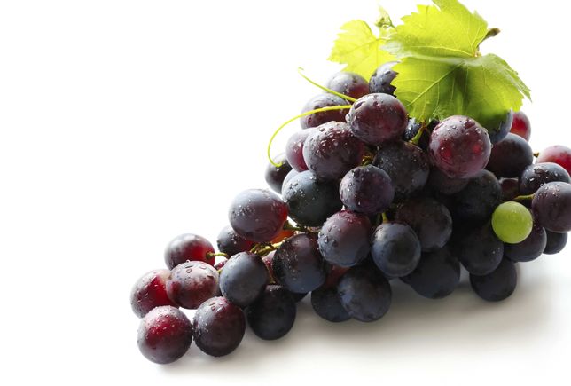 Grape Seed Extract Proanthocyanidins, Polyphenols powder Vitis vinifera L.