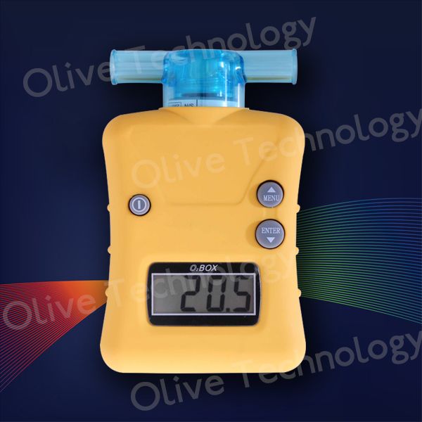 Portable Oxygen Analyzer