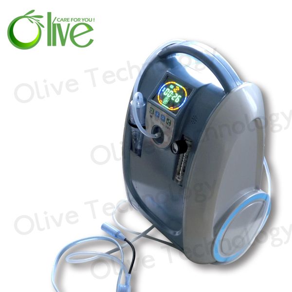 Portable oxygen concentrator with battery