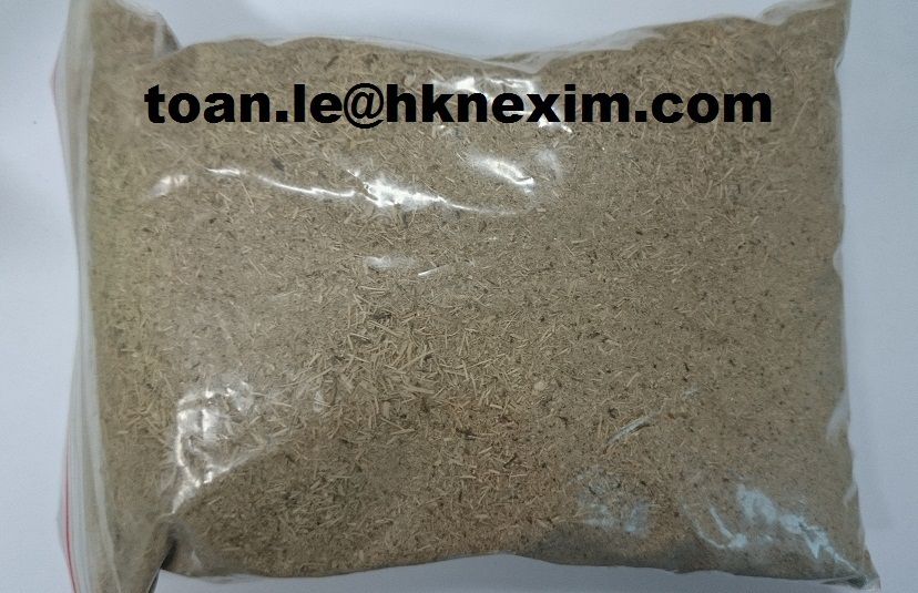 BAGASSE POWDER