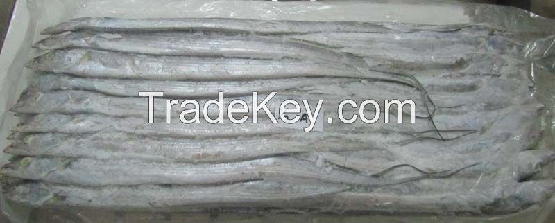 Frozen Ribbon Fish | Mackerel Fish | Salmon Fish |