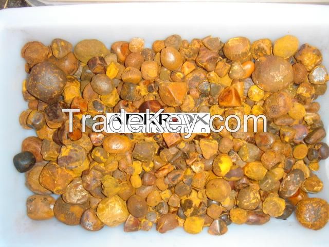 100% High Quality Cow Gallstones for sale