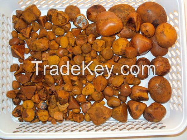 Cow Gallstones for sale