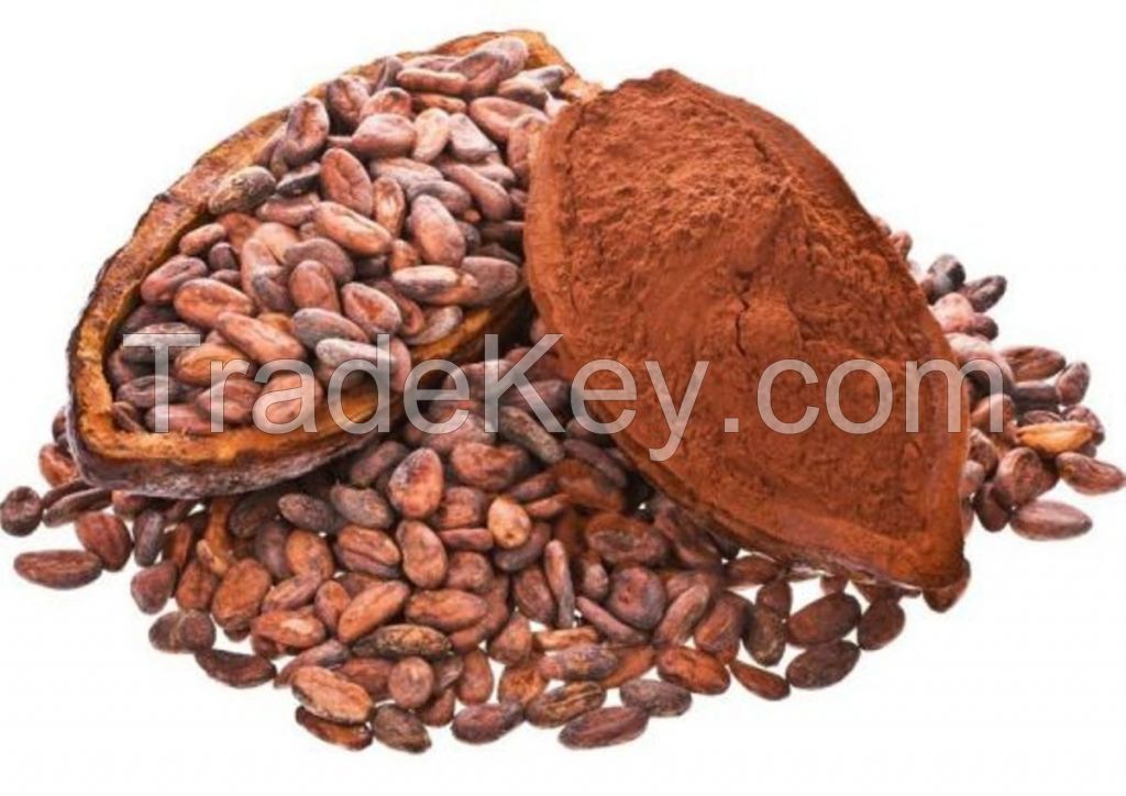 Wholesale Price Cacao Beans