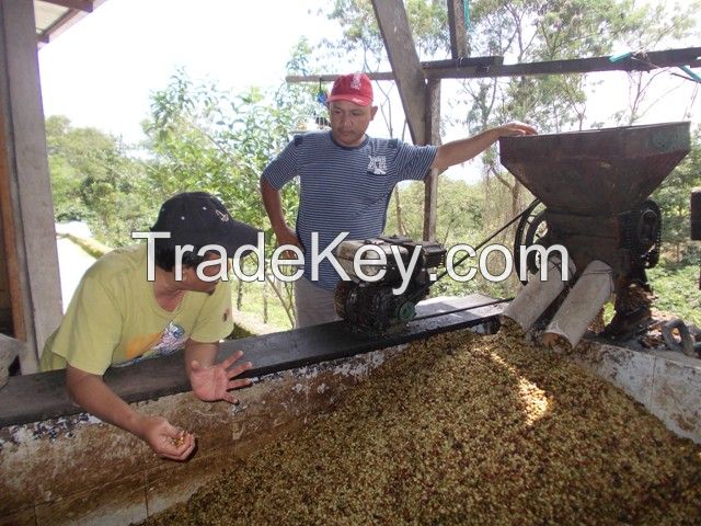 Suamtera's Coffee Arabica Mandhailing Grade 1 Indonesia