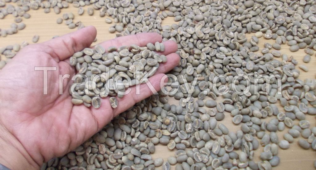 Suamtera's Coffee Arabica Mandhailing Grade 1 Indonesia