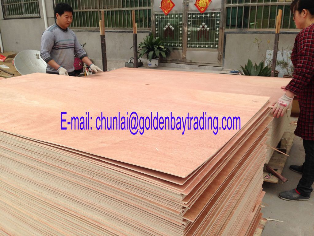 China plywood supplier