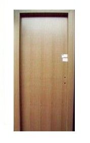 Flush Door with Veneer (FD09)