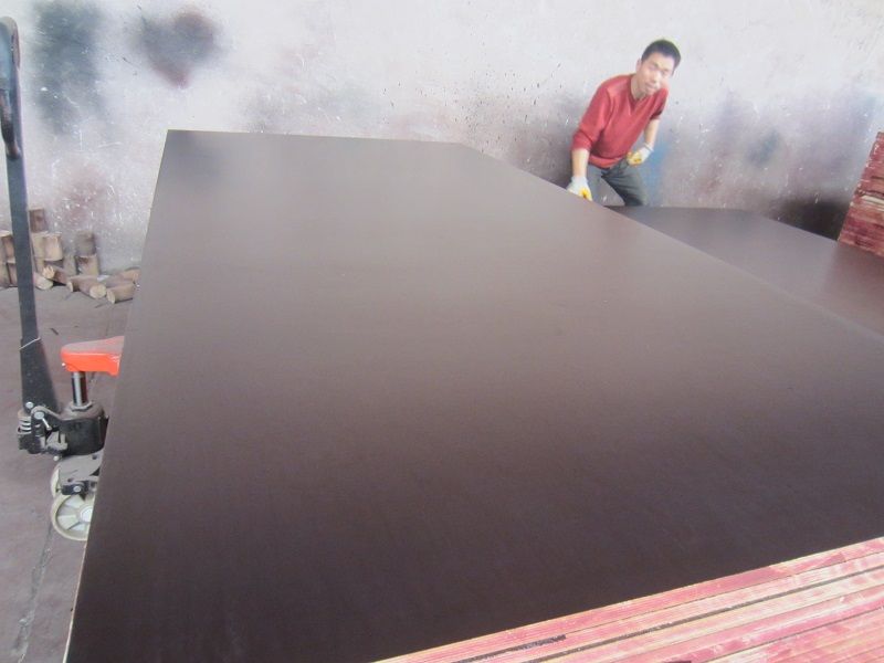 first grade film faced plywood--oppo.wang