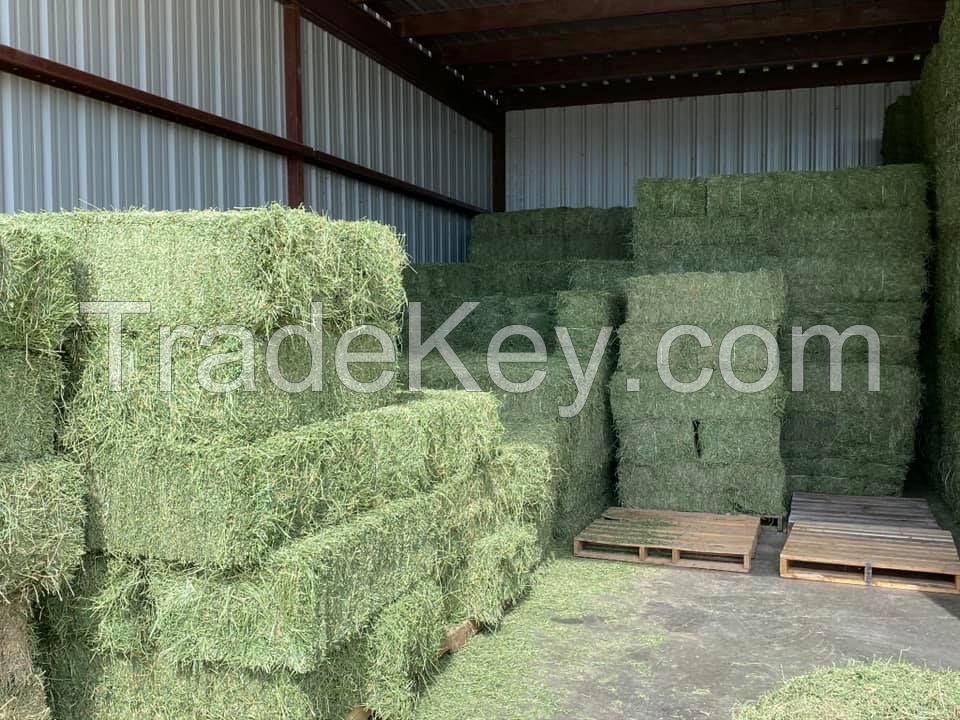 Alfalfa hay and Timothy hay