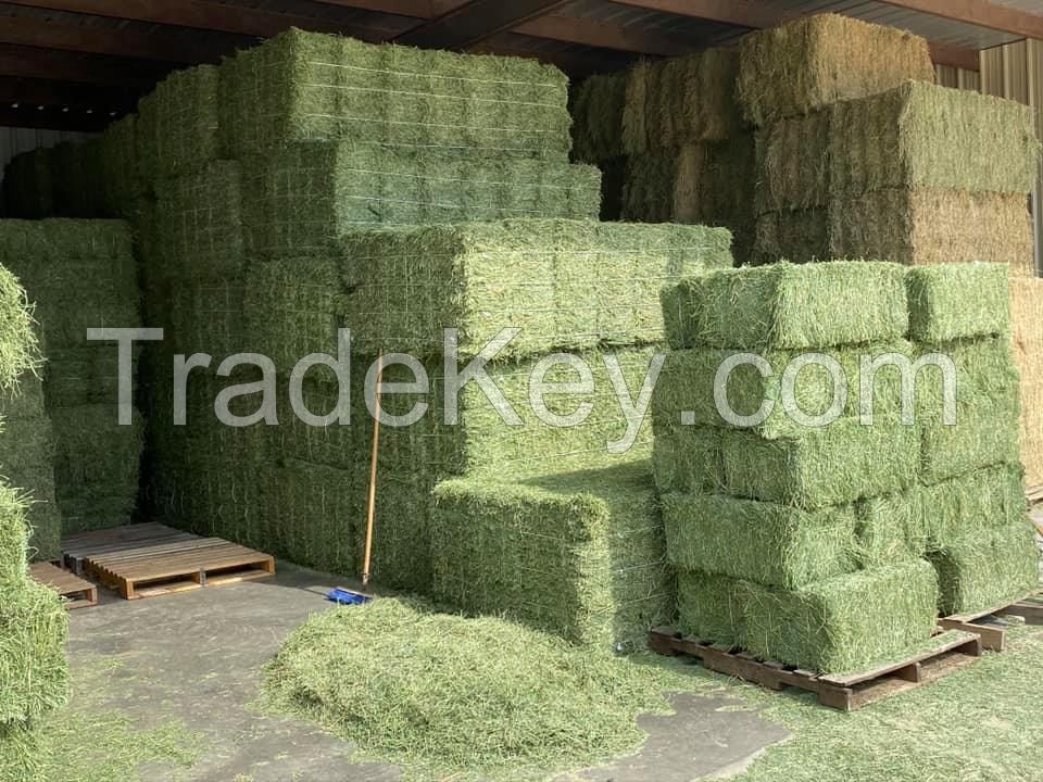 Alfalfa hay and Timothy hay