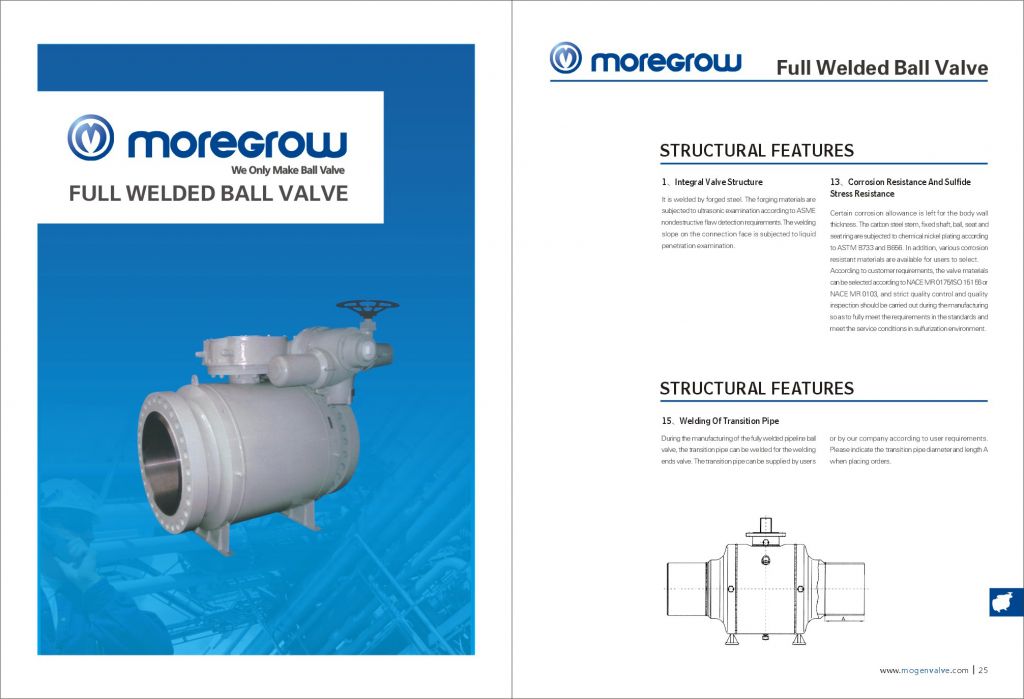 Fully welded ball valve 