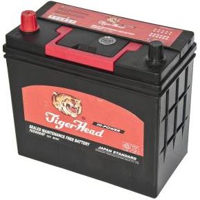 Car Battery NS60MF