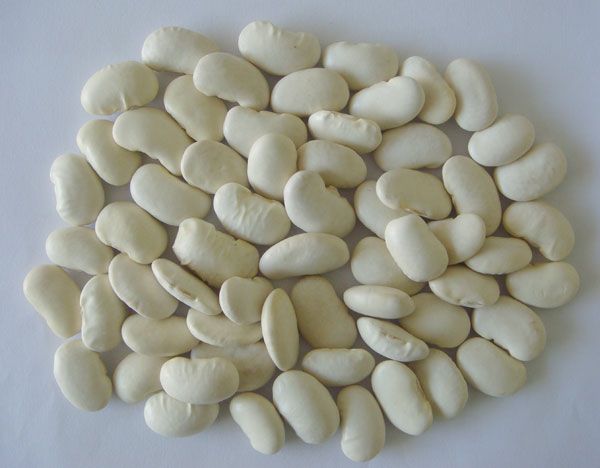 WHITE KIDNEY BEANS