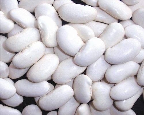 WHITE KIDNEY BEANS