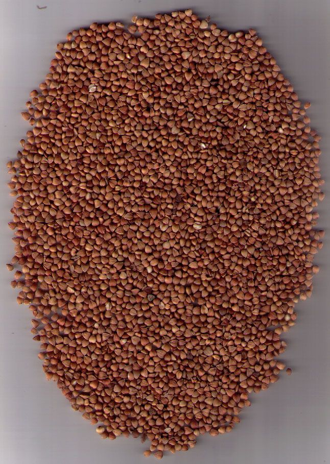 roasted buckwheat kernels