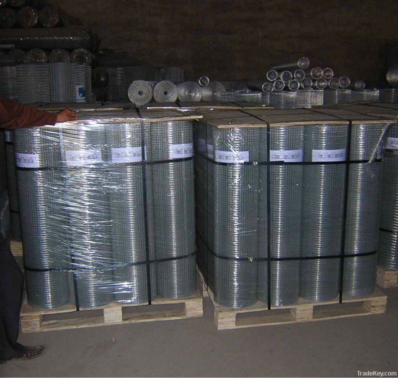 galvanized welded wire mesh