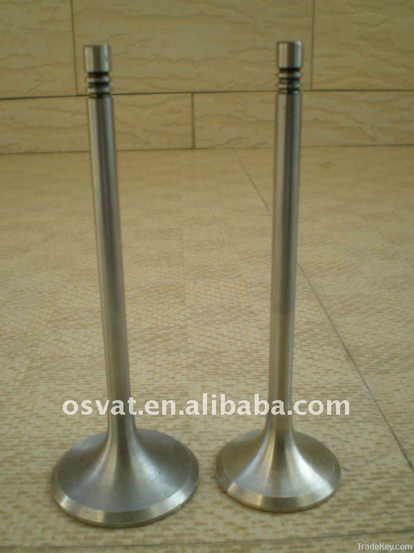 Intake Valve &amp; Exhaust Valve