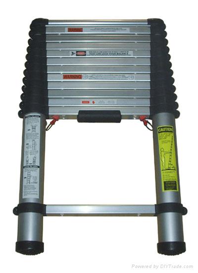 Telescopic Ladder with EN-131