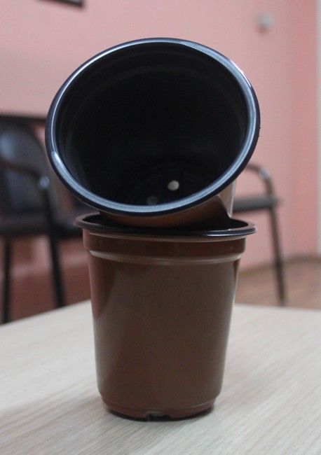 Thermoformed Plastic Pot 9*9 cm