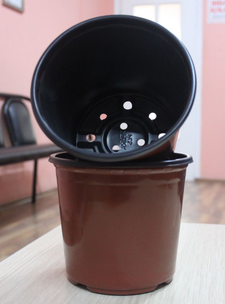 Thermoformed Plastic Pot 14*12 cm