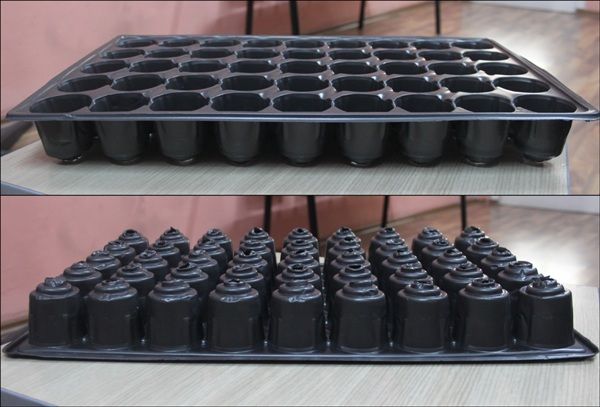 Thermoformed Plastic Seedling Tray  45 cells