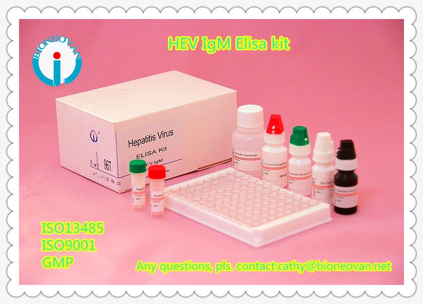 clinical chemistry reagents HEV IgG/IgM ELISA TESTS KITS