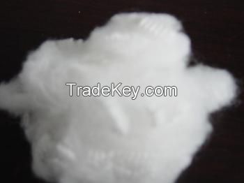 Closed virgin polyester staple fiber