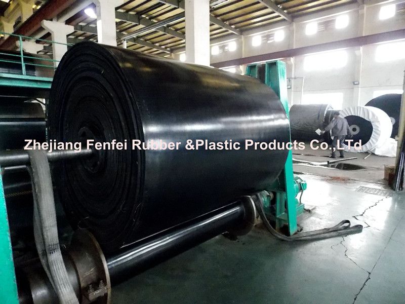 Nylon Conveyor Belt